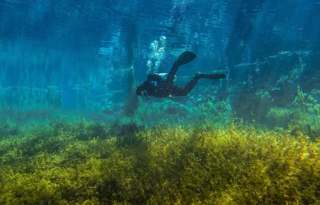 Νικιάνα — Καταδύσεις & Snorkeling